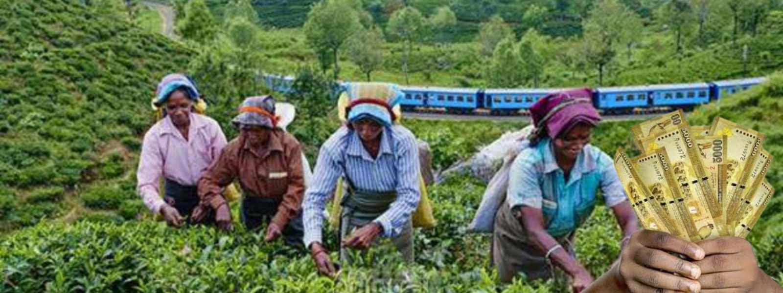 වතු කම්කරු වැටුප් ඉහළ දැමීමේ ගිවිසුම්ගත වීම අද